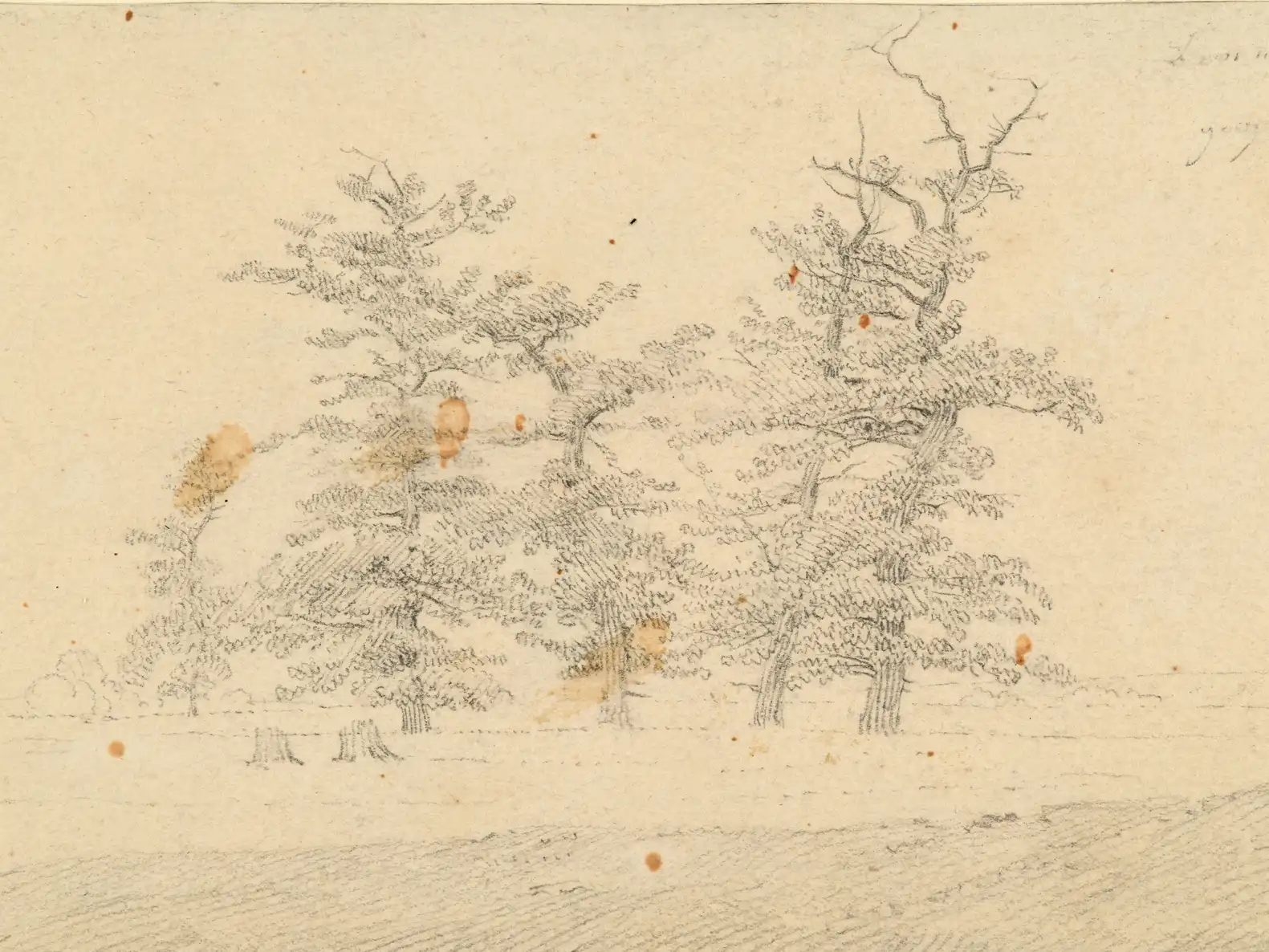 Drawing by Caspar David Friedrich, entitled “Sketch of Mature Oaks,” which dates from 1809.